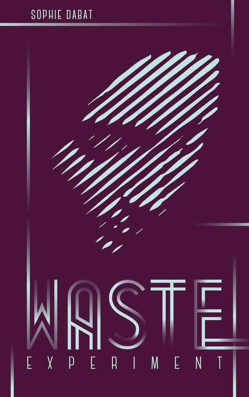 ebook cover of Waste Experiment, by Sophie Dabat