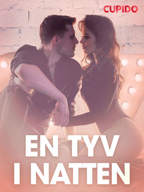 Couverture ebook de En tyv i natten - erotiske noveller, de Cupido