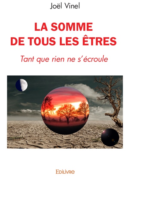 Couverture ebook de La Somme de tous les êtres, de Joël Vinel