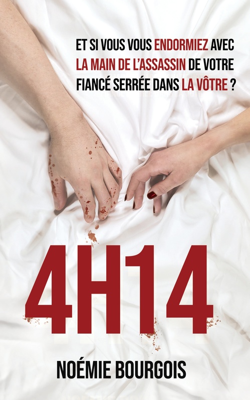 ebook cover of 4H14, by Noémie Bourgois
