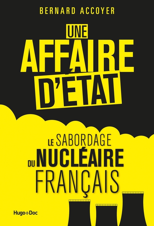 ebook cover of Une affaire d'état, by Bernard Accoyer, Chantal Didier