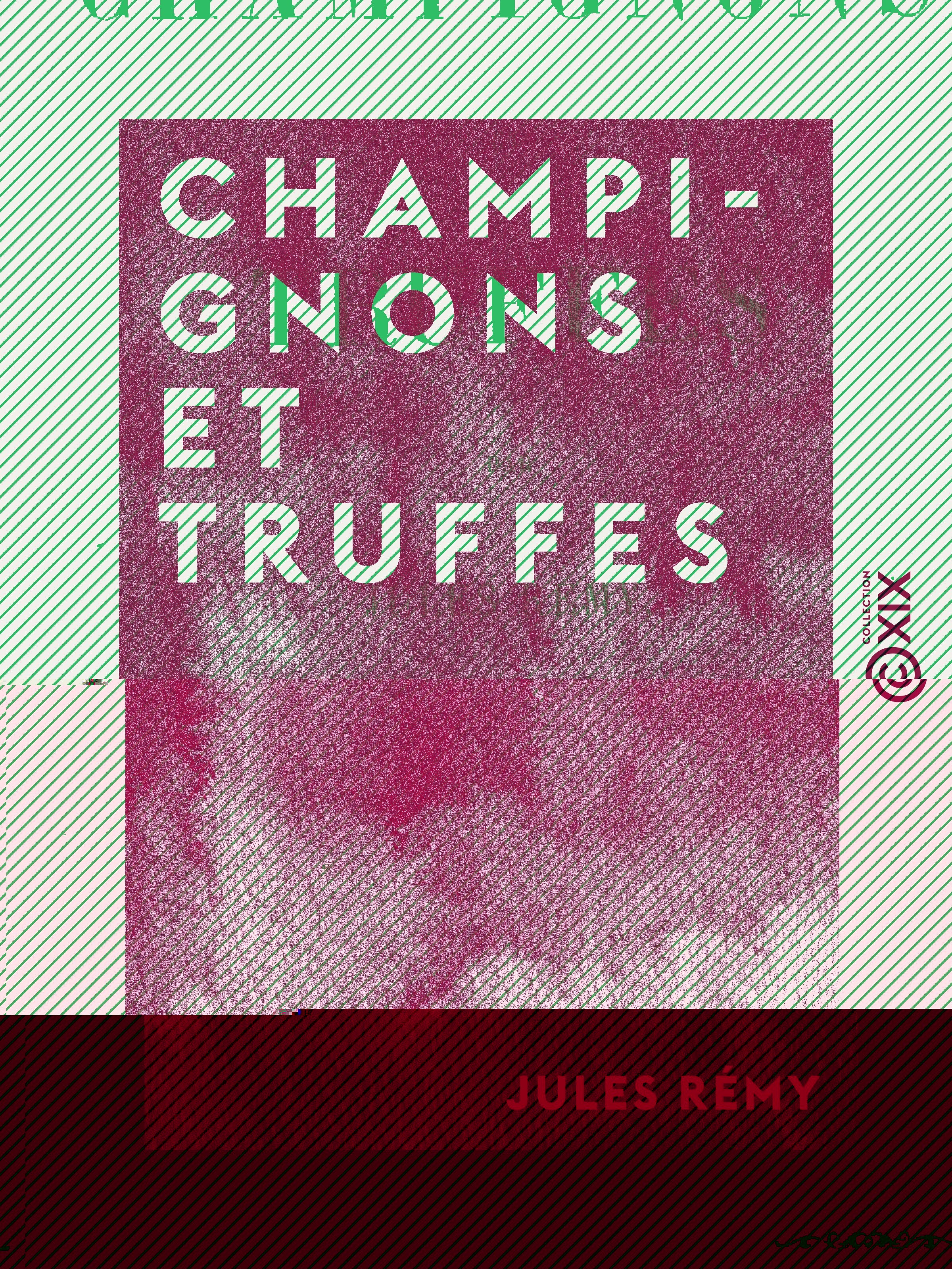 ebook cover of Champignons et Truffes, by Jules Remy