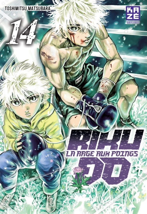 Couverture ebook de Riku-do T14, de Toshimitsu Matsubara