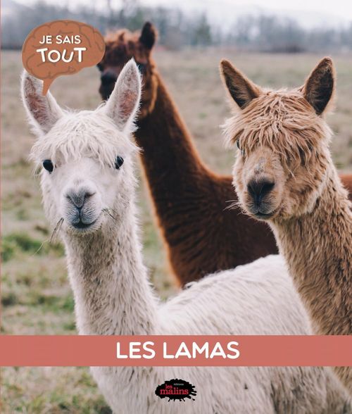 Couverture ebook de Je sais tout: Les lamas, de Naila Aberkan