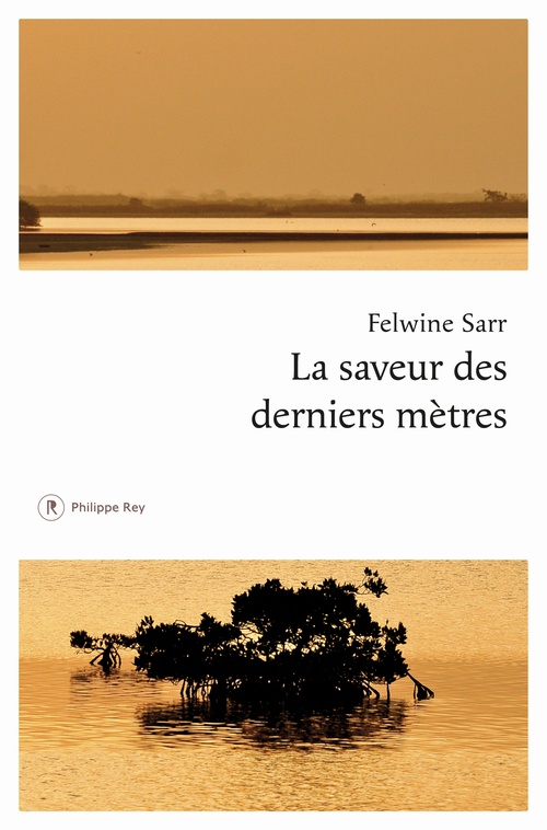 Couverture ebook de La saveur des derniers mètres, de Felwine Sarr