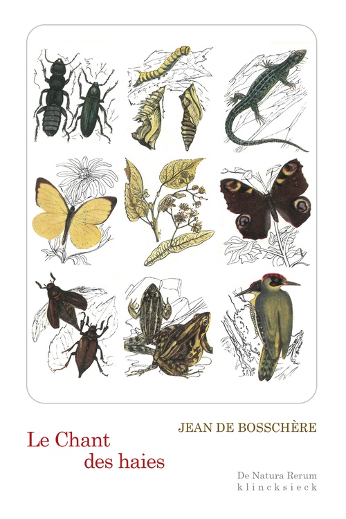 Couverture ebook de Le Chant des haies, de Jean de Bosschère