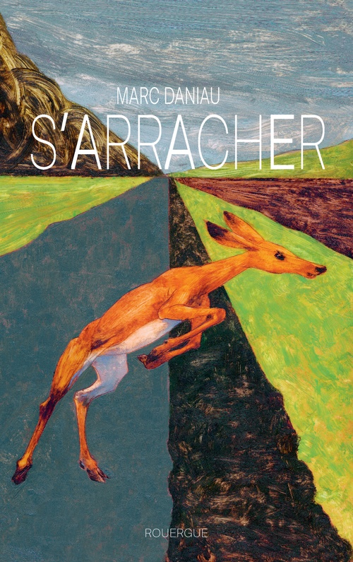 ebook cover of S'arracher, by Marc Daniau
