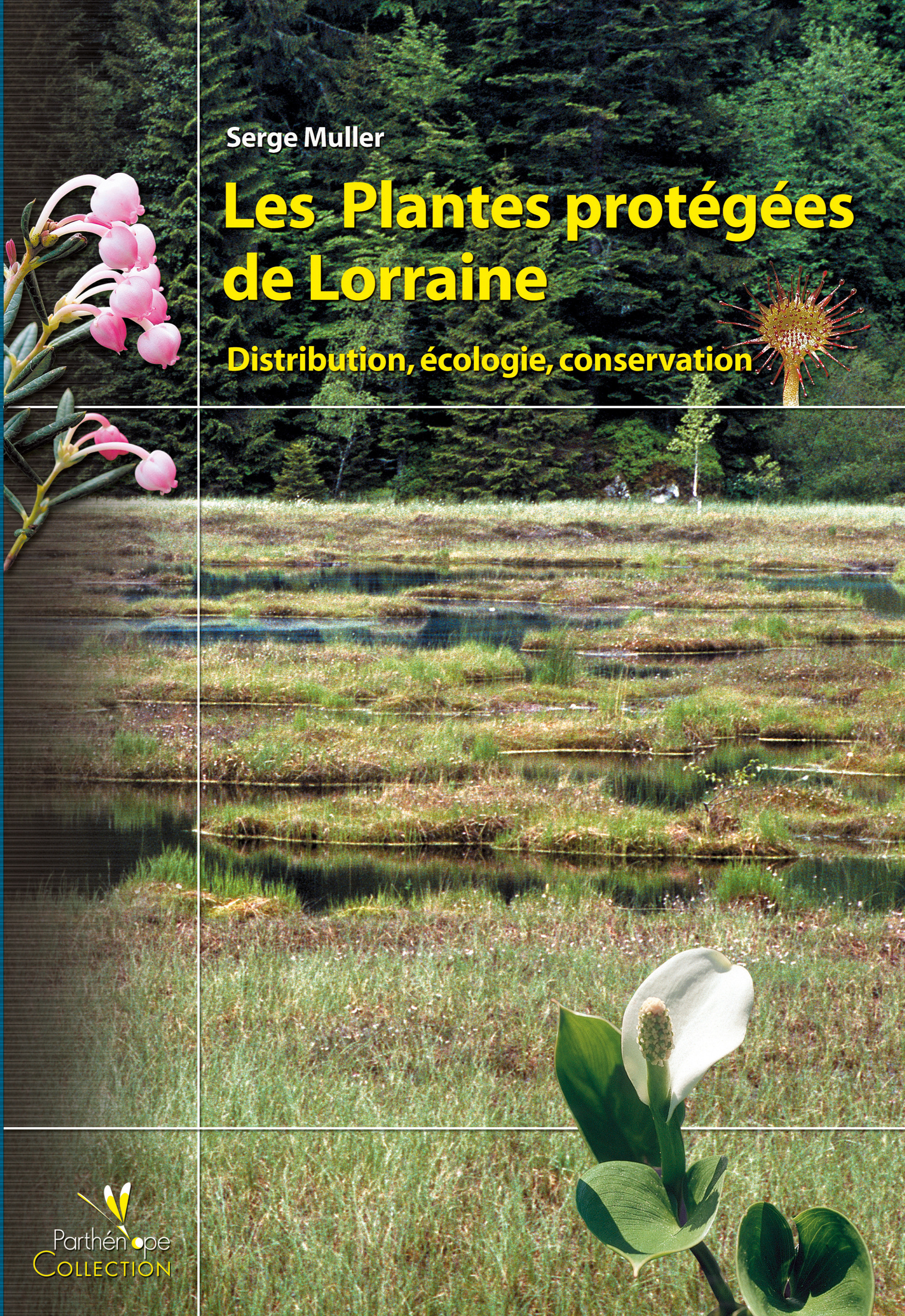 ebook cover of Les plantes protégées de Lorraine, by Serge Muller