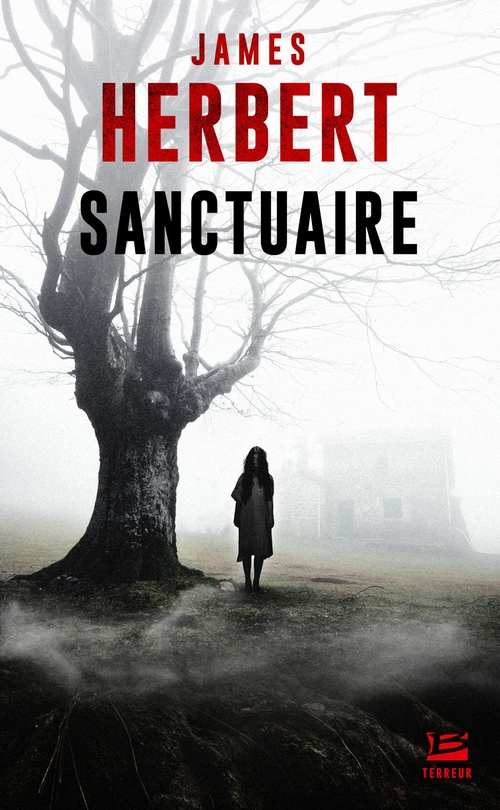 ebook cover of Sanctuaire, by James Herbert