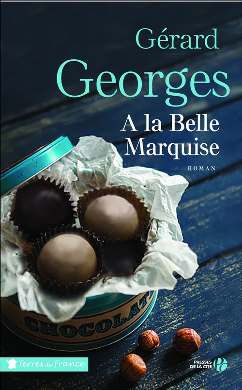 ebook cover of A la belle marquise, by Gérard Georges