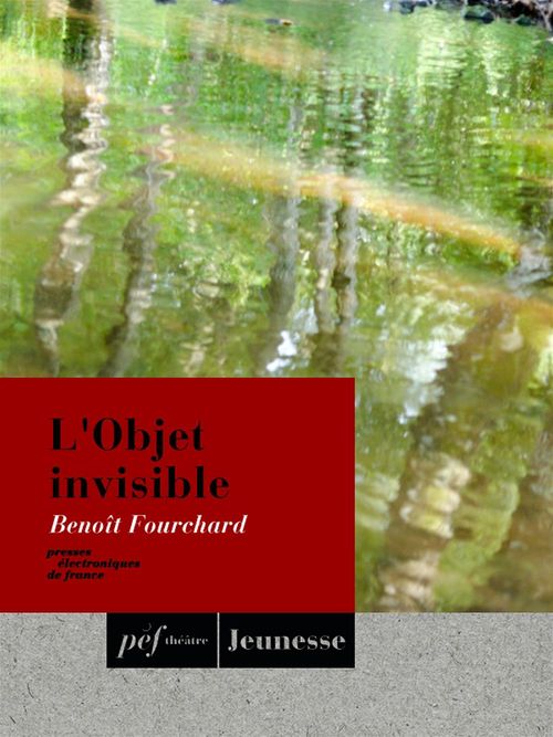 ebook cover of L'Objet invisible, by Benoit Fourchard
