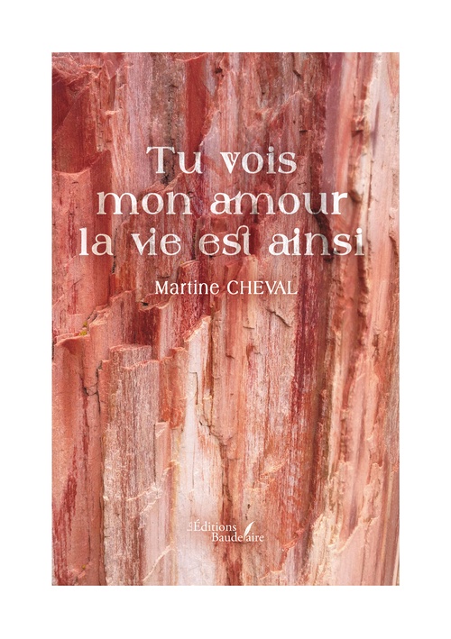 ebook cover of Tu vois mon amour la vie est ainsi, by Cheval Martine