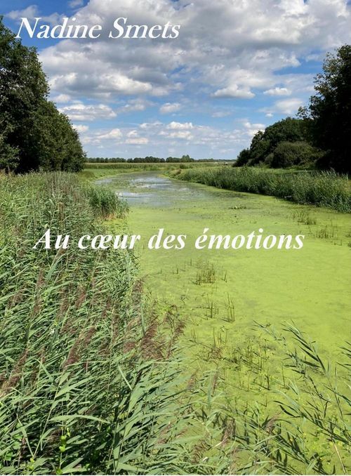 Couverture ebook de Au coeur des émotions, de Nadine Smets