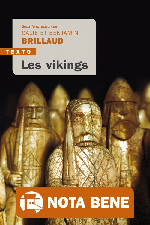 ebook cover of Les vikings, by Collectif, Benjamin Brillaud, Calie Brillaud