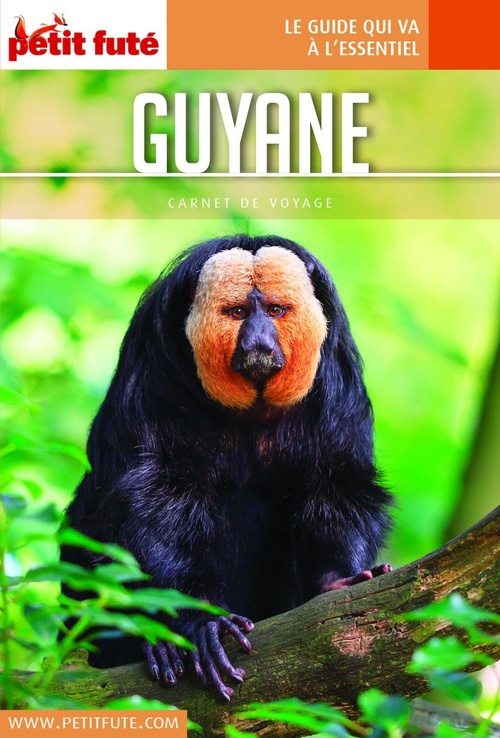 ebook cover of GUYANE 2019 Carnet Petit Futé, by Collectif petit futé