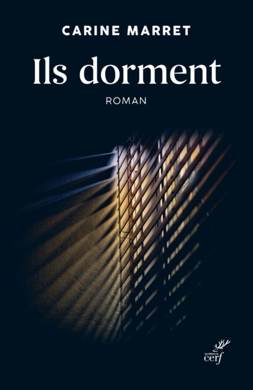 ebook cover of ILS DORMENT, by Carine Marret