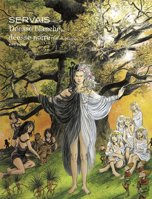 ebook cover of Déesse blanche, déesse noire, by Jean-Claude Servais