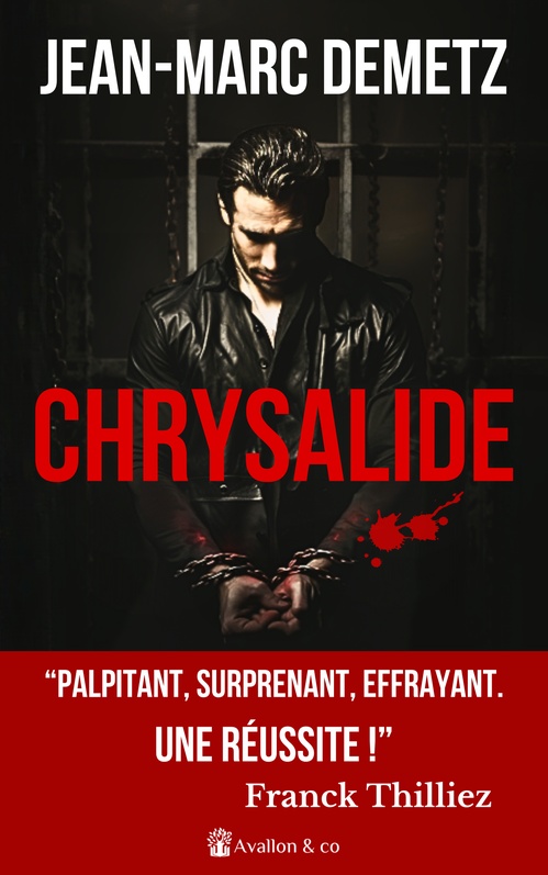 Couverture ebook de Chrysalide, de Jean-Marc Demetz