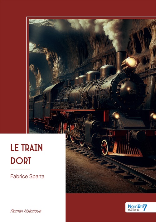 Couverture ebook de Le train dort, de Fabrice Sparta