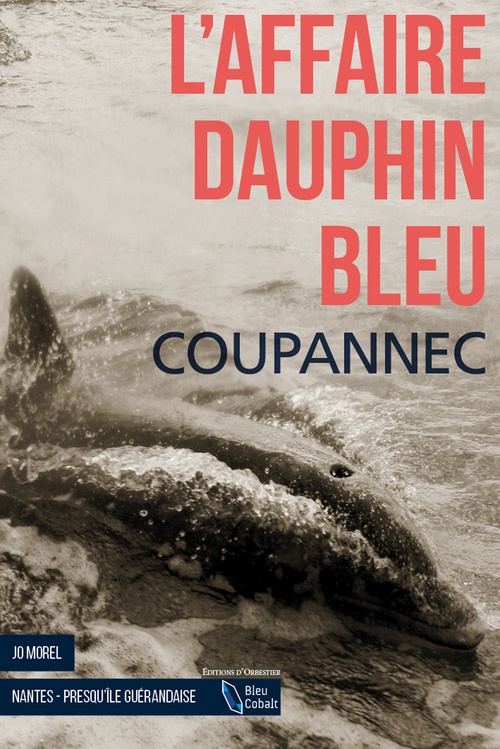 ebook cover of L'Affaire dauphin bleu, by Roger Coupannec