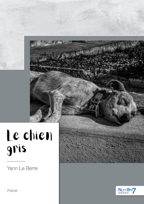Couverture ebook de Le chien gris, de Yann le Berre