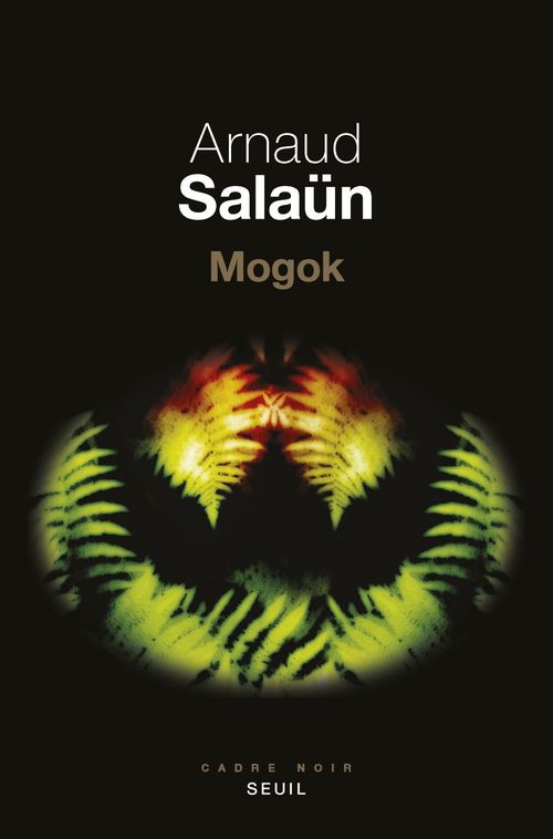 ebook cover of Mogok, by Arnaud Salaün