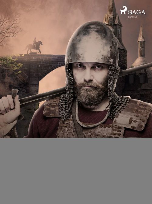 Couverture ebook de De vernuftige jonkheer Don Quijote van de Mancha, de Miguel de Cervantes