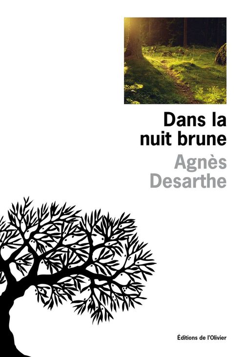 Couverture ebook de Dans la nuit brune - Prix Renaudot des lycéens 2010, de Agnès Desarthe