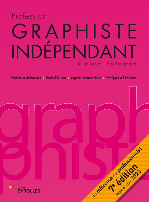 ebook cover of Profession graphiste indépendant, by Eric Delamarre