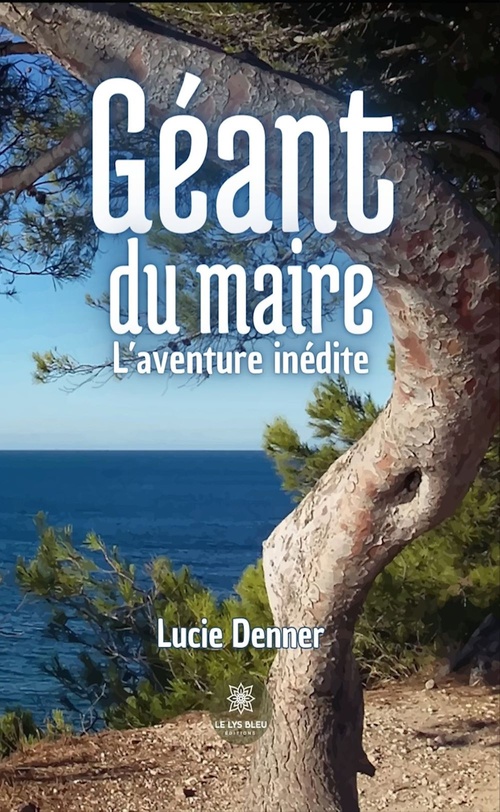 Couverture ebook de Géant du maire, de Lucie Denner