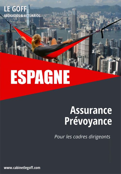 ebook cover of ESPAGNE, l'assurance prévoyance pour les cadres dirigeants, by Honorine Le Goff