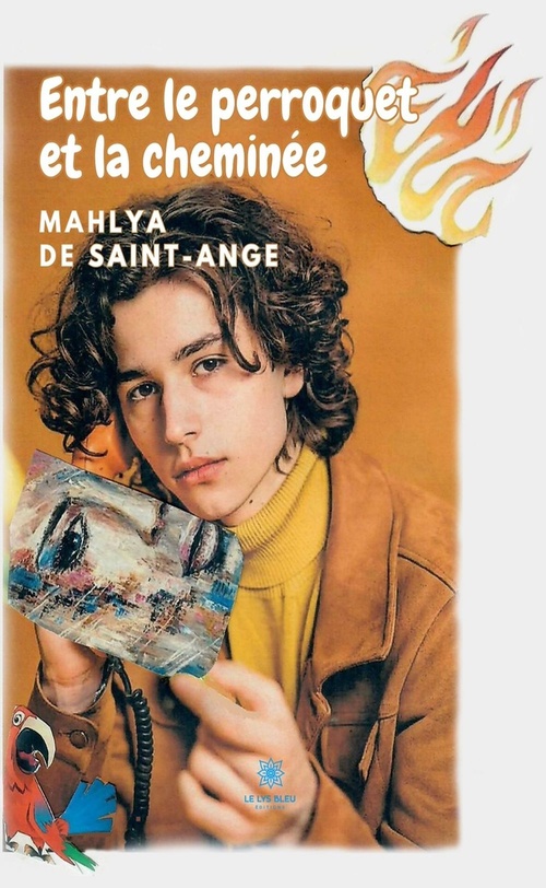 ebook cover of Entre le perroquet et la cheminée, by Mahlya De Saint-Ange