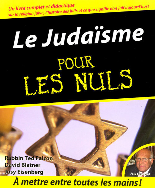 ebook cover of Le judaïsme pour les nuls, by Ted Falcon, David Blatner