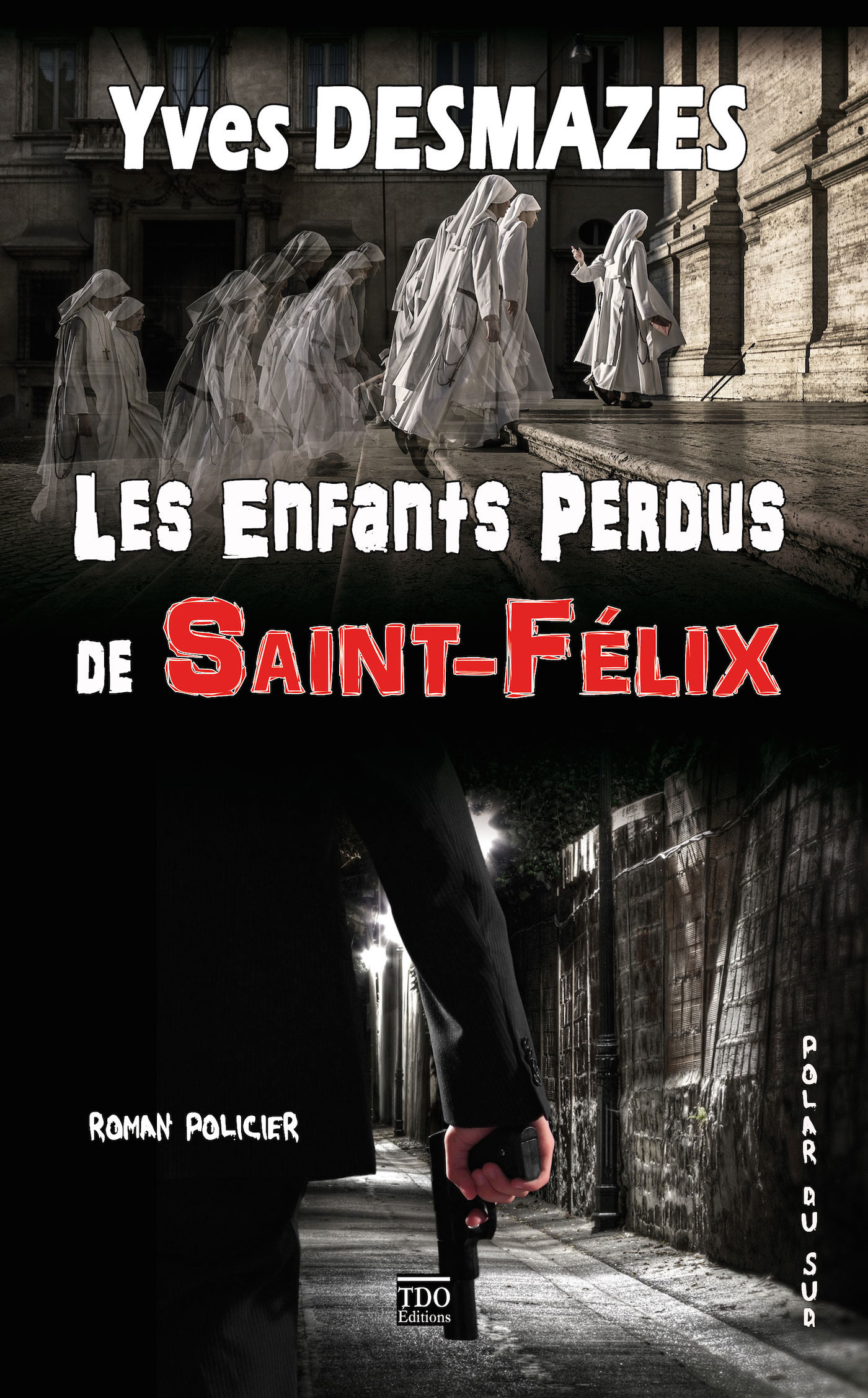 ebook cover of Les Enfants Perdus de Saint-Félix, by Yves Desmazes
