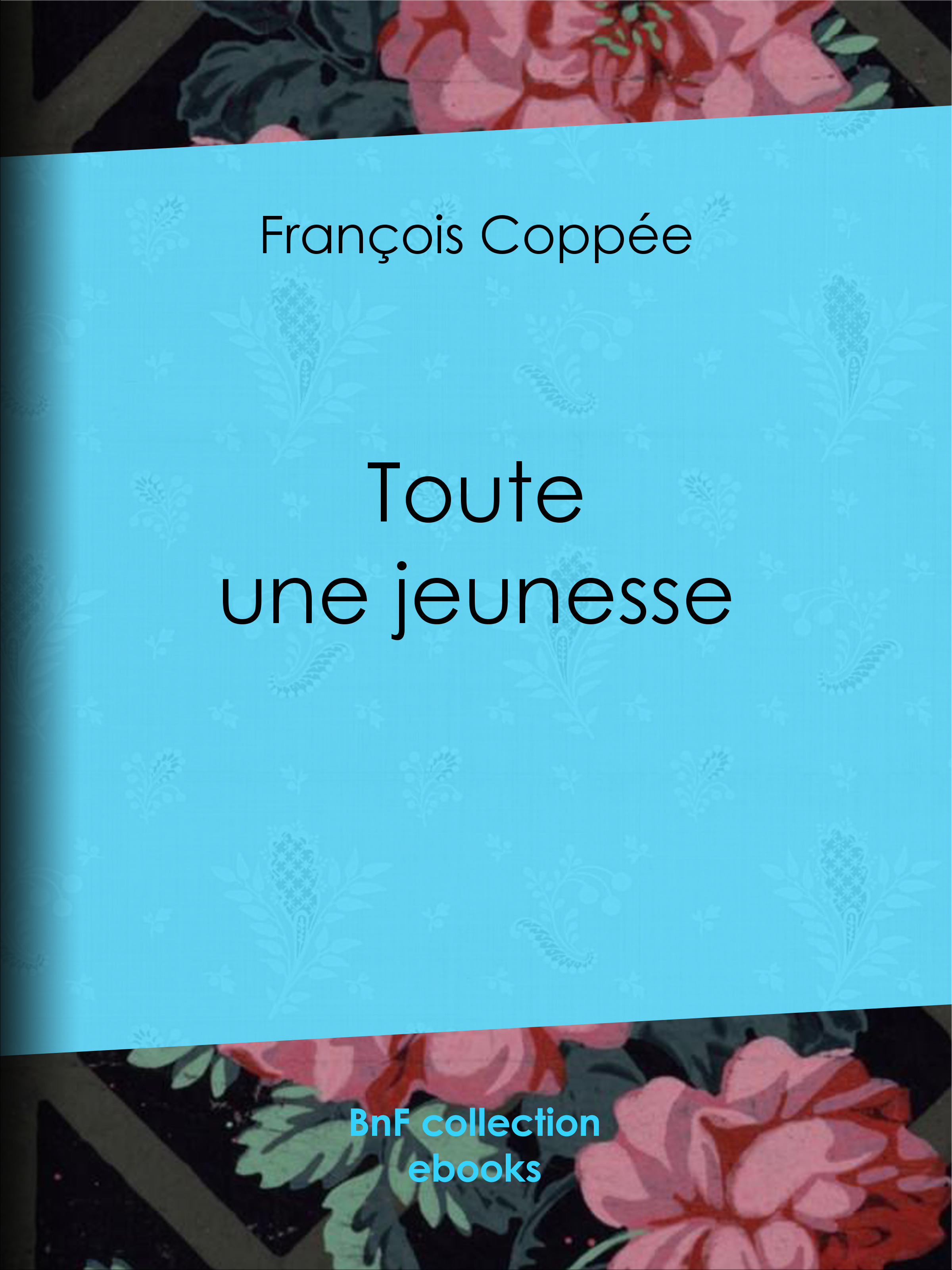 ebook cover of Toute une jeunesse, by François Coppée