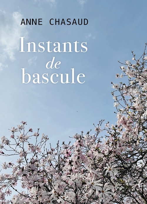 ebook cover of Instants de bascule, by Anne Chasaud