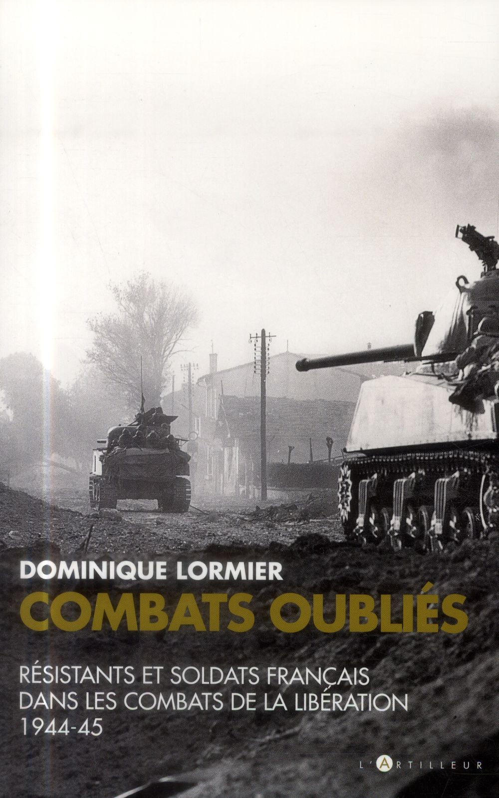 ebook cover of Combats oubliés, by Dominique Lormier