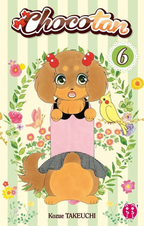 ebook cover of Chocotan T06, by Kozue Takeuchi