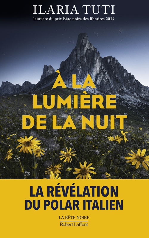 ebook cover of À la lumière de la nuit, by Ilaria Tuti