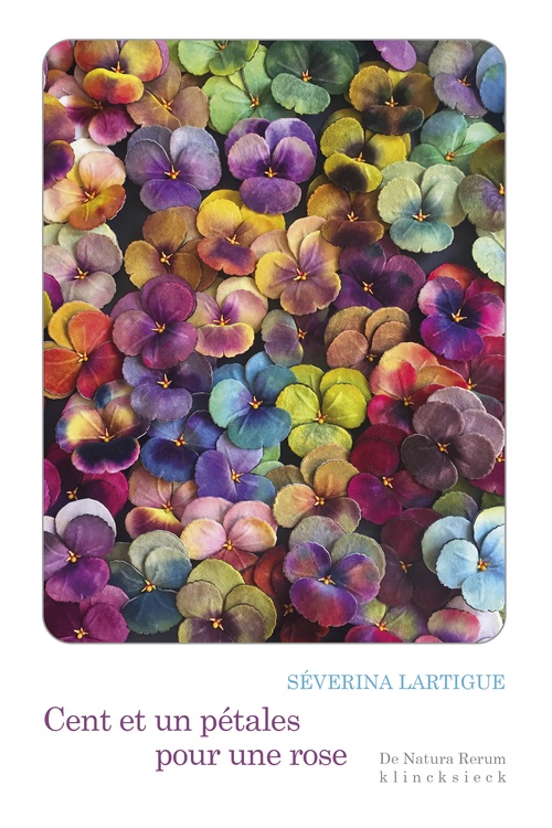 ebook cover of Cent et un pétales pour une rose, by Séverina Lartigue