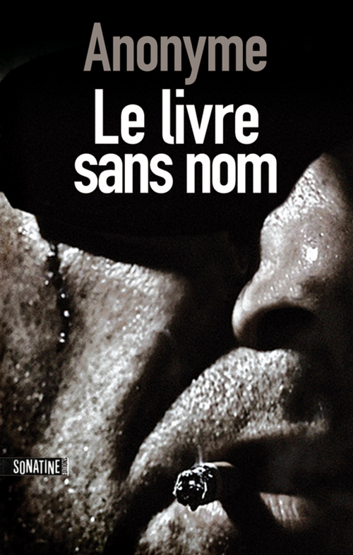 ebook cover of Le livre sans nom, by