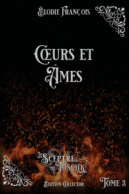 Couverture ebook de Coeurs et âmes, de Elodie François