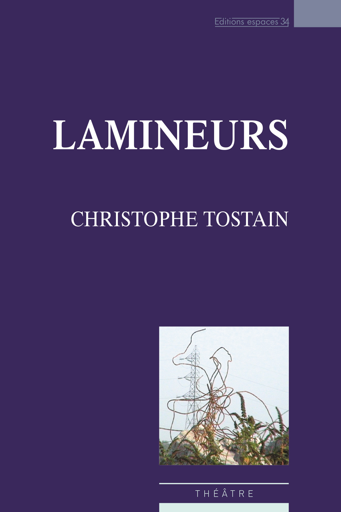 ebook cover of Lamineurs, by Christophe Tostain