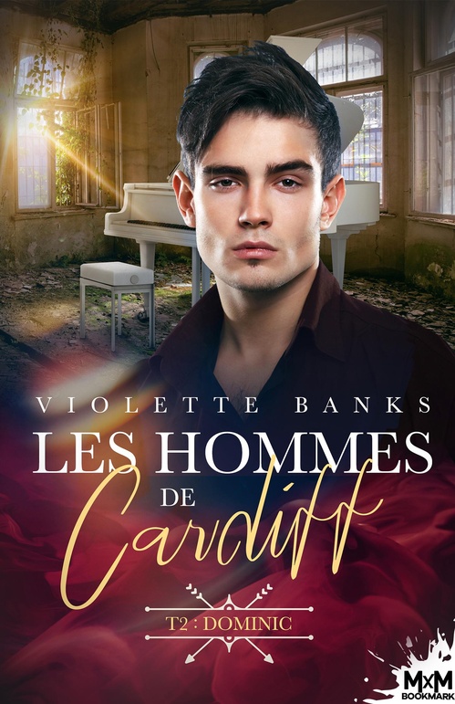 ebook cover of Dominic, by Violette Banks