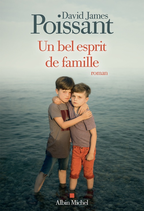 Couverture ebook de Un bel esprit de famille, de David James Poissant