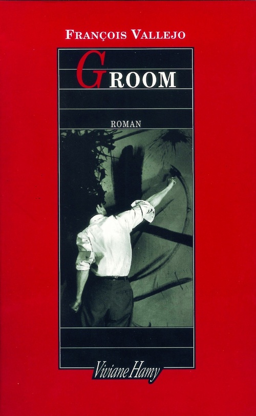 ebook cover of Groom, by François Vallejo