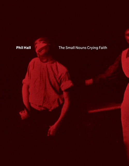 ebook cover of The Small Nouns Crying Faith, by Phil Hall
