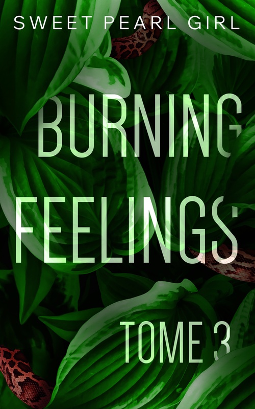 Couverture ebook de Burning Feelings, de Pearl Girl Sweet