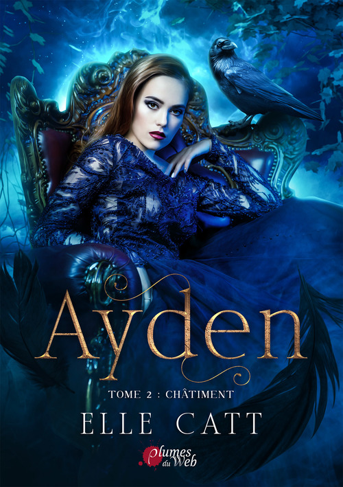ebook cover of Ayden - Tome 2 : Châtiment, by Elle Catt