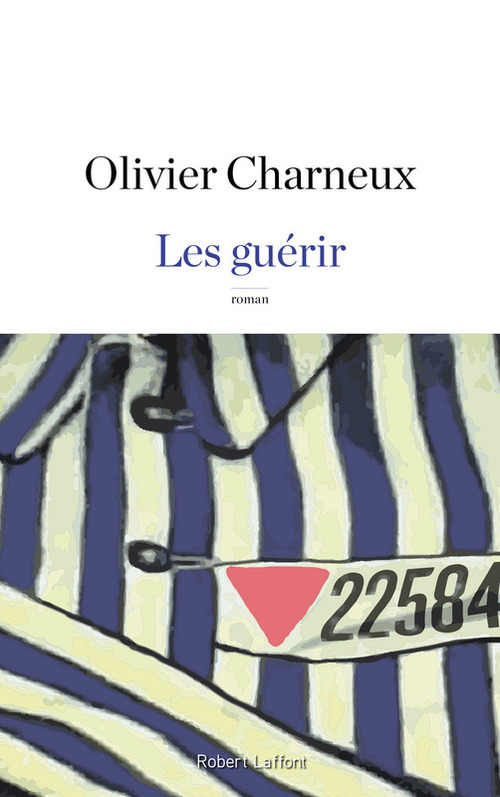 Couverture ebook de Les guérir, de Olivier Charneux